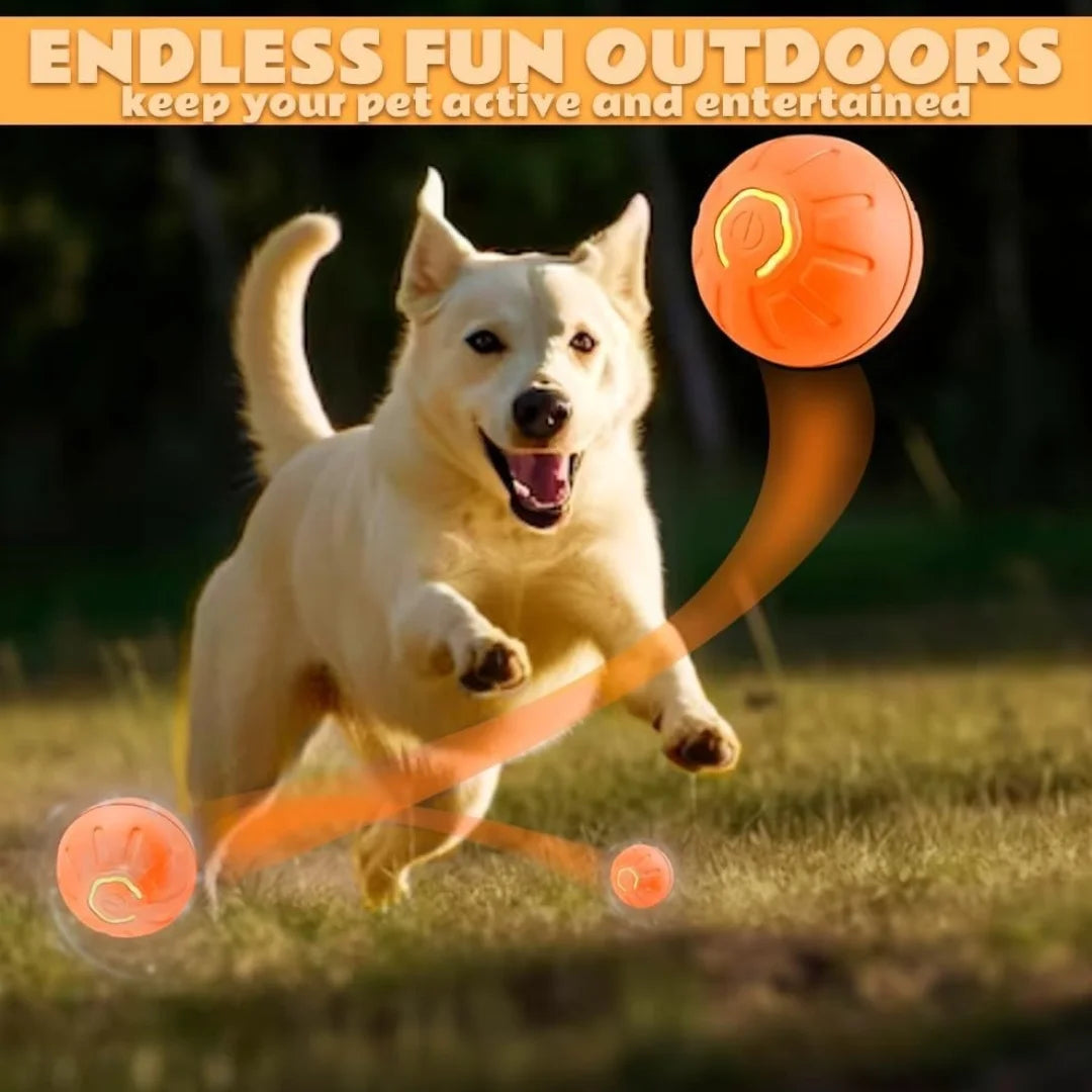 Pet Toys Gravity Electric Amusement Ball – Smart Bouncing Ball for Dogs & Cats