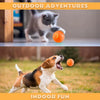 Pet Toys Gravity Electric Amusement Ball – Smart Bouncing Ball for Dogs & Cats